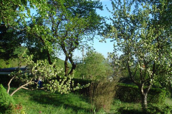 Garten.jpg (86293 Byte)